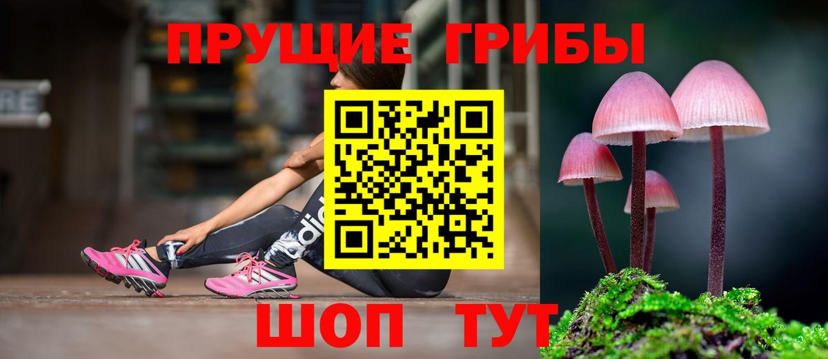 Псилоцибиновые грибы GOLDEN TEACHER  Вход с VPN  Дзержинский  Галлюциногенные грибы Cubensis 