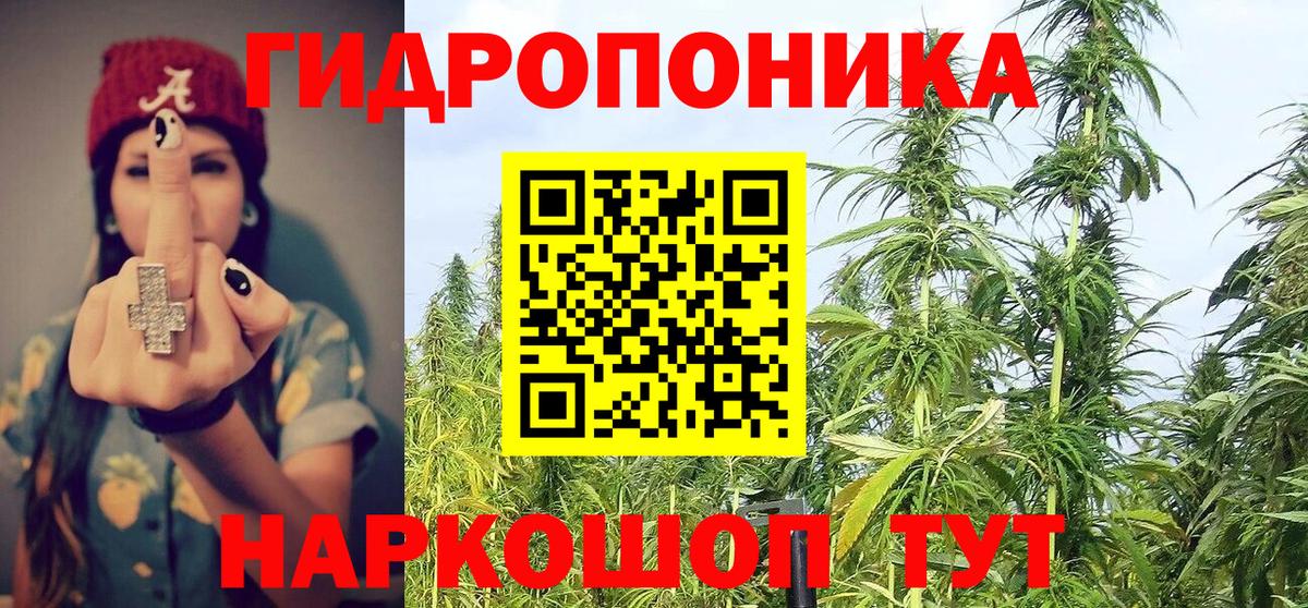 Бошки марихуана сатива  Марихуана SATIVA & INDICA  Бошки Шишки OG Kush  Дзержинский  Вход с VPN  Бошки Шишки сатива 